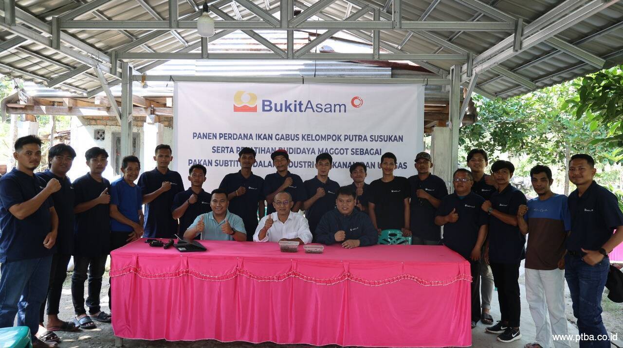 Berita Csr Lingkungan Pt Bukit Asam Tbk