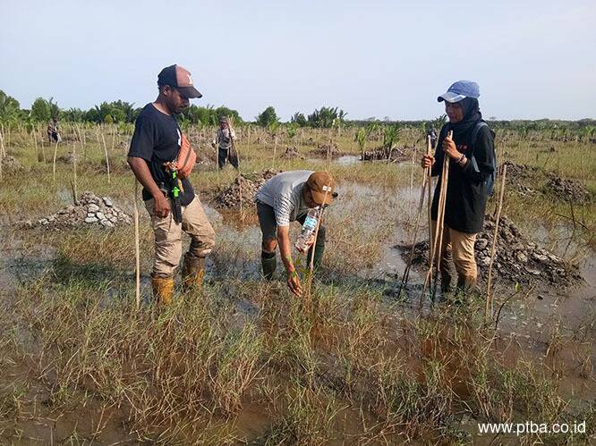 Jaga Lingkungan, PTBA Rehabilitasi Daerah Aliran Sungai 5.197 Hektar