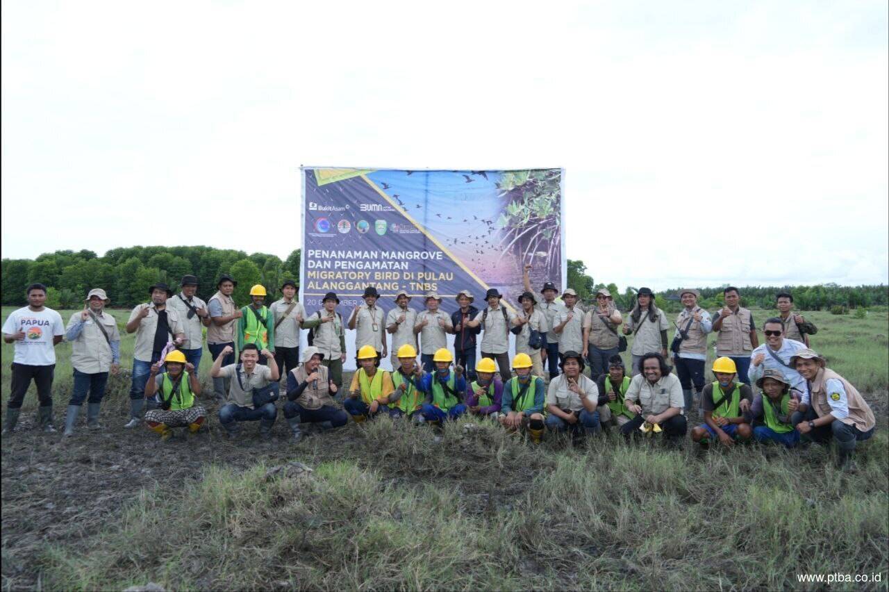 Kolaborasi PTBA-Pemerintah Lestarikan Habitat Burung dan Mangrove di Pulau Alanggantang